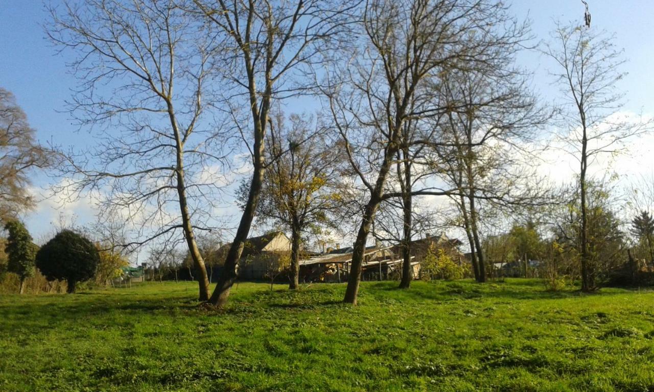 Bochmann Cottage Zalaszanto Eksteriør bilde
